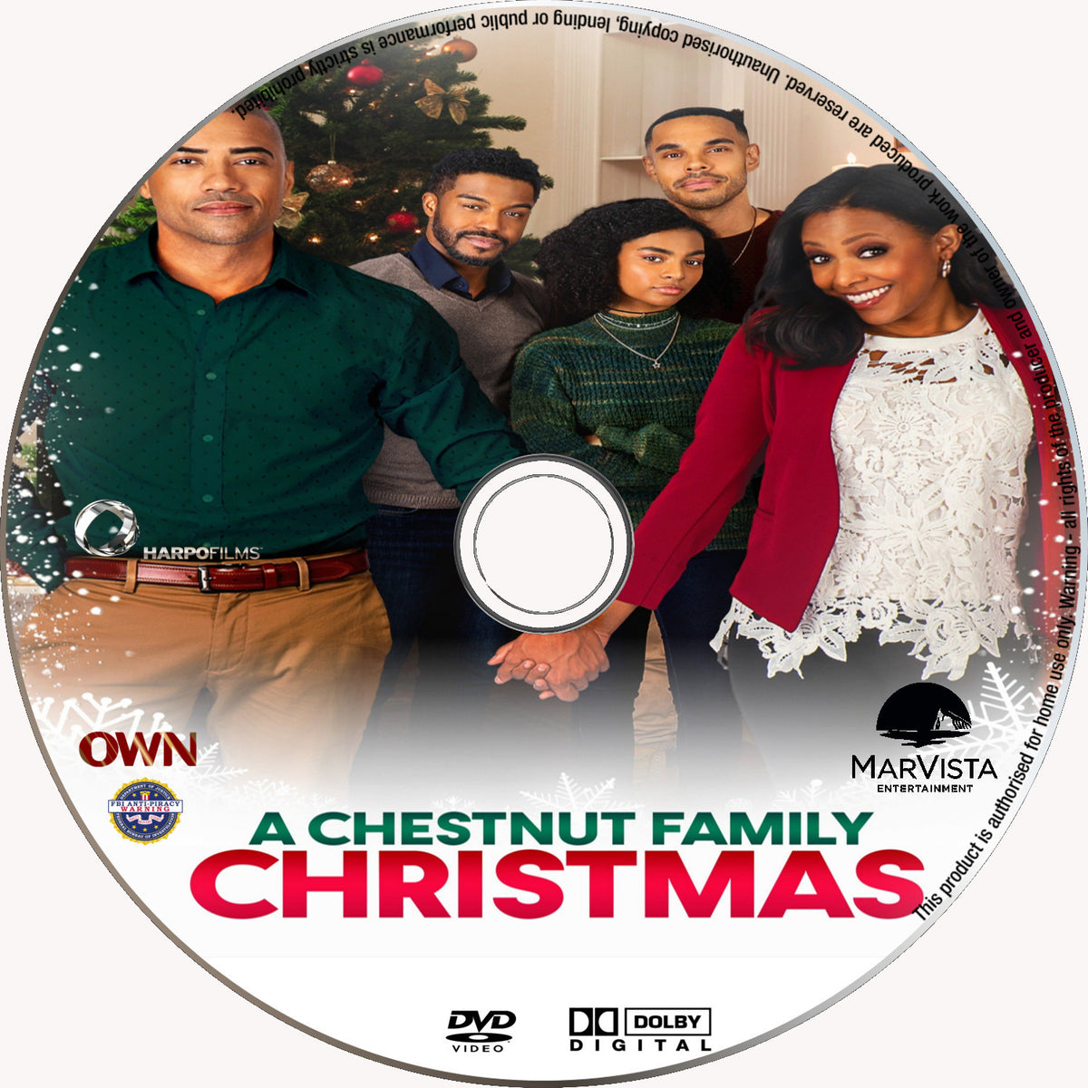 A Chestnut Family Christmas [DVD] [DISC ONLY] [2021] - Seaview Square Cinema