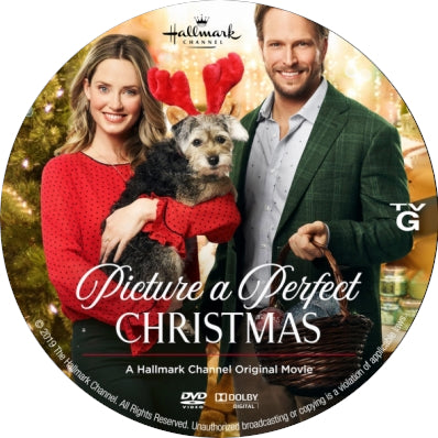 Picture A Perfect Christmas [DVD] [DISC ONLY] [2019]